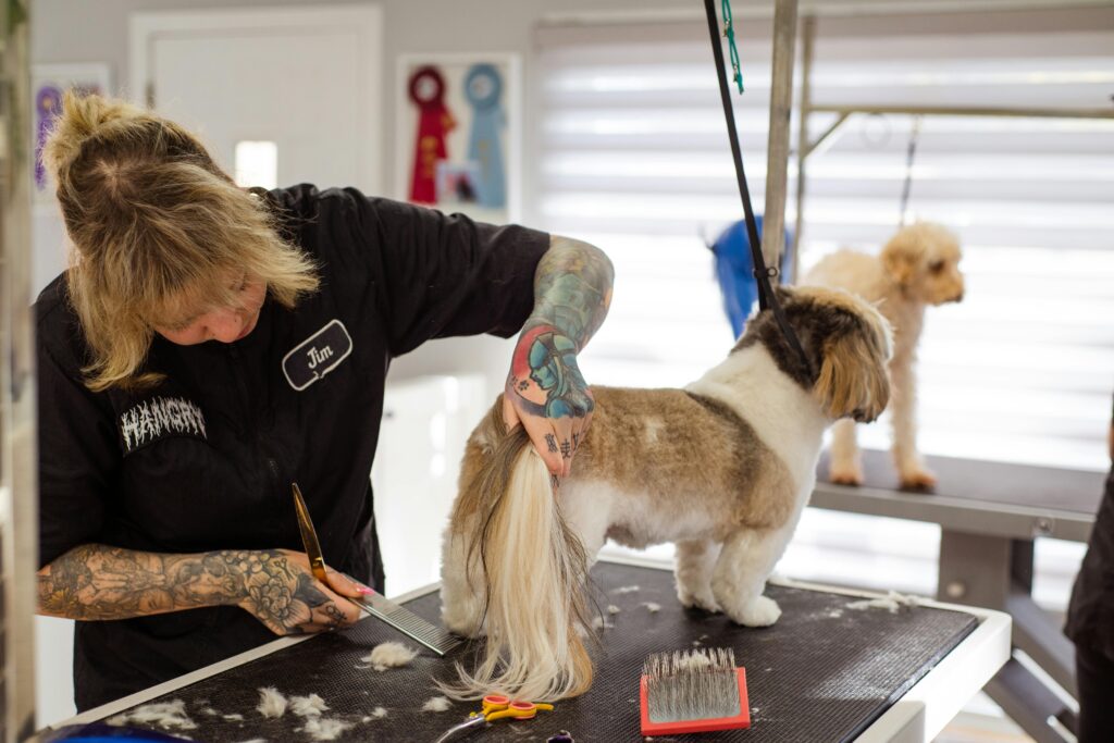 How To Cut Dog Hair Scissors