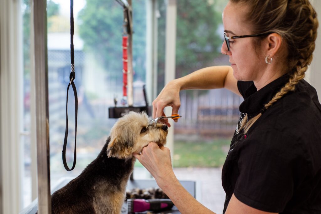 Can You Cut A Male / Female Dog's Pee Hair 