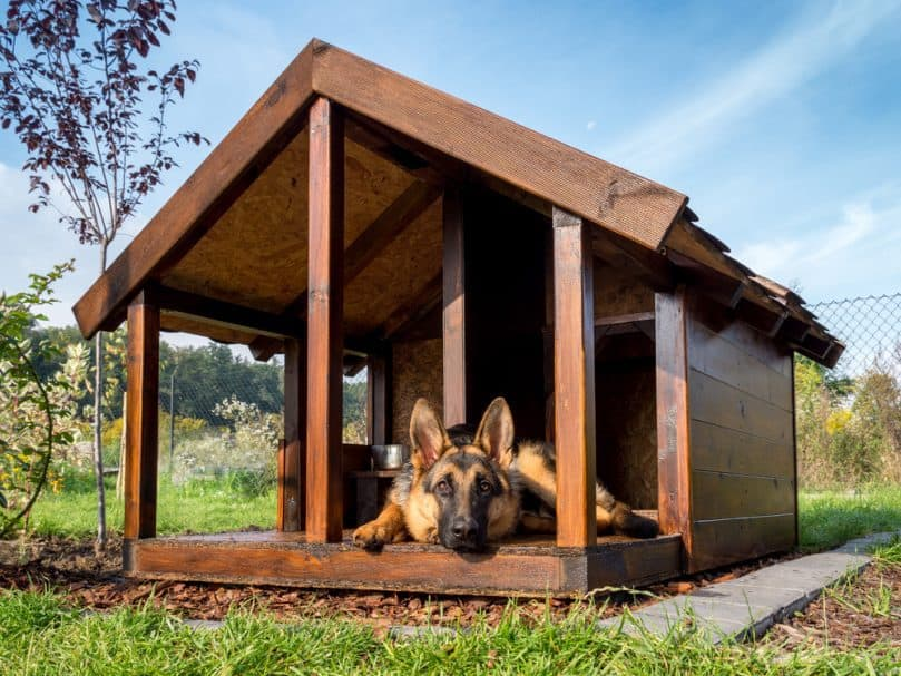 Heated Dog Kennel