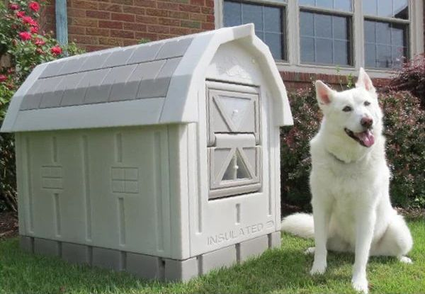 Heated Dog Kennel