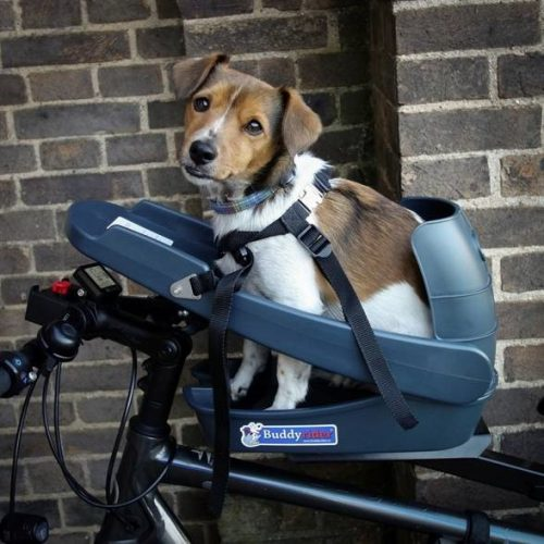 Dog Carrier For Cycling