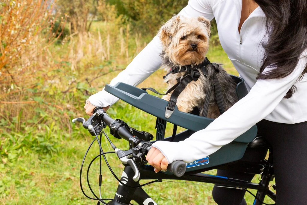 Dog Carrier For Cycling