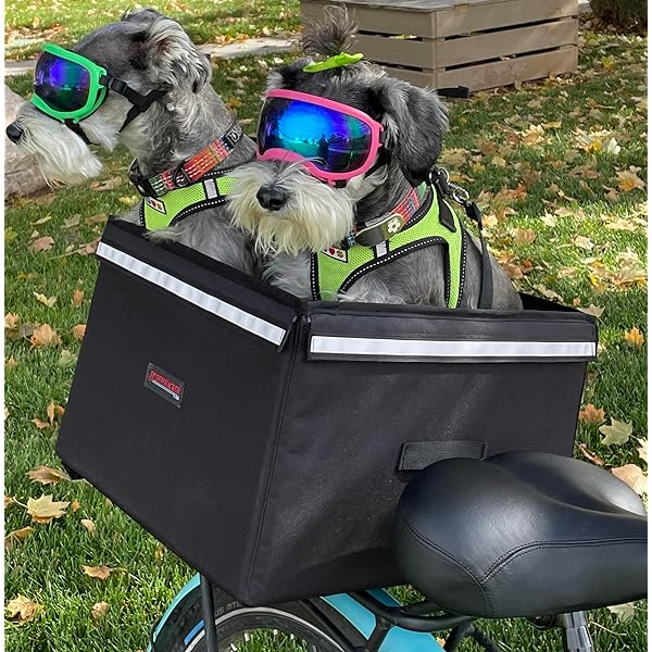 Dog Carrier For Cycling