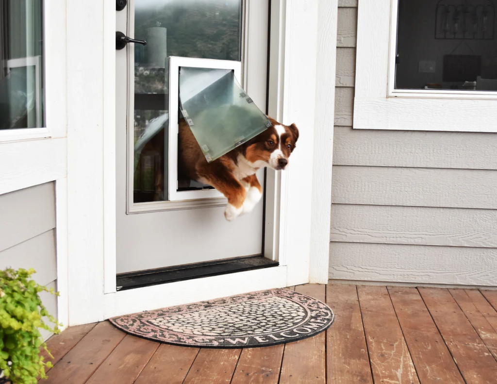 Exterior Dog Doors