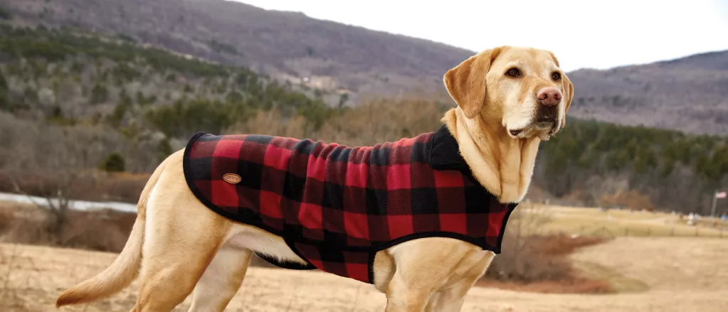 Large Dog Jacket