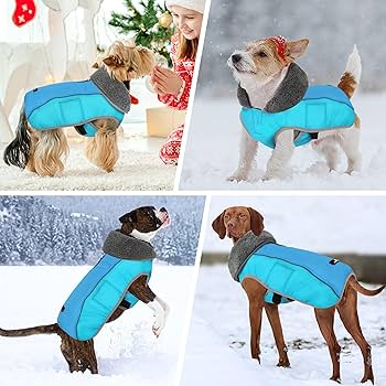 Large Dog Jacket