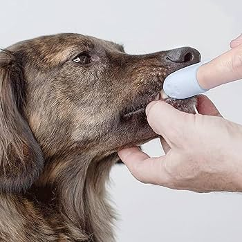 Dog Finger Toothbrush