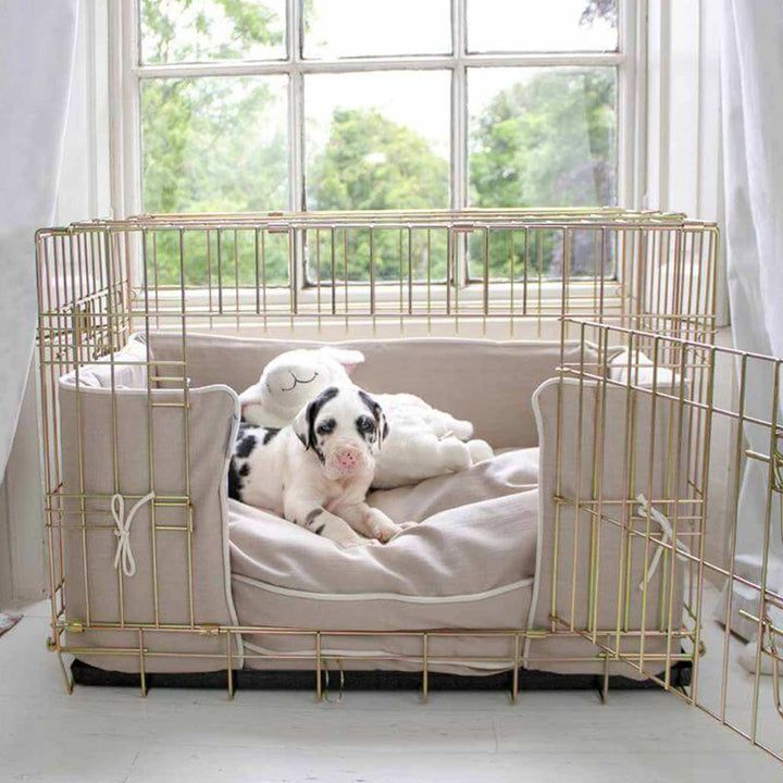 Dogs Crate And Bed