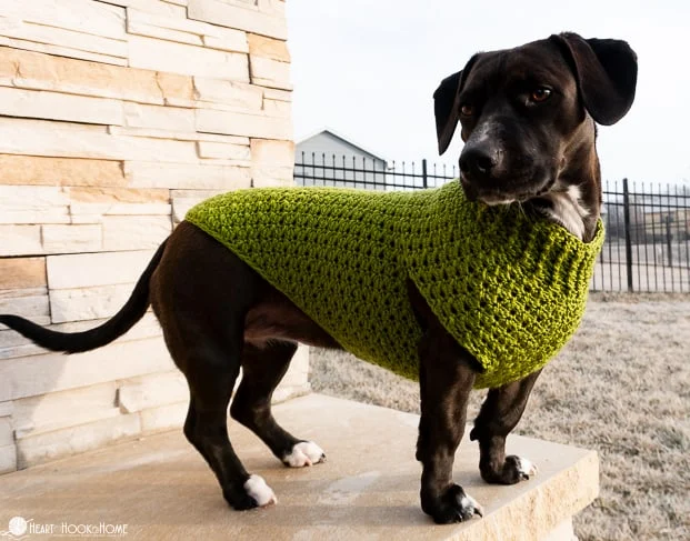 Dog Clothes For Large Dogs