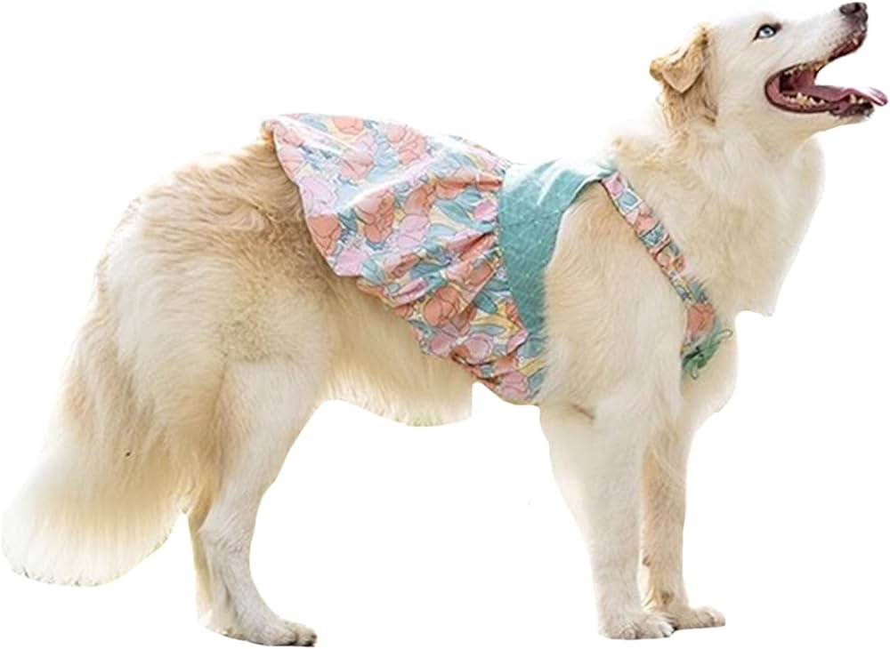 Dogs Wedding Dress