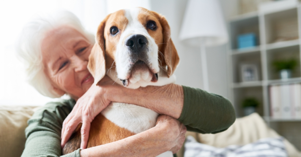 Worst Dog Breeds For Seniors