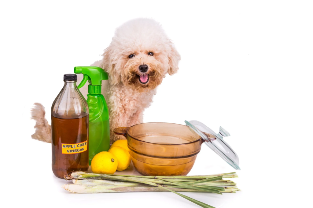 Best Bug Spray for Dogs