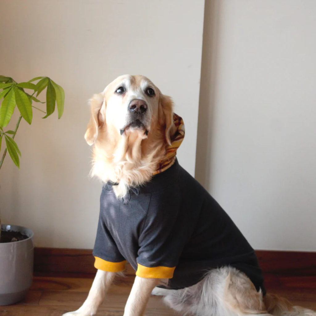 Sweatshirts For Dogs