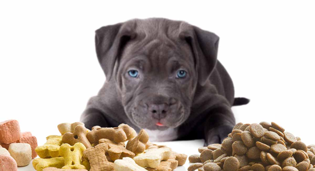 Best Puppy Food for Pitbulls