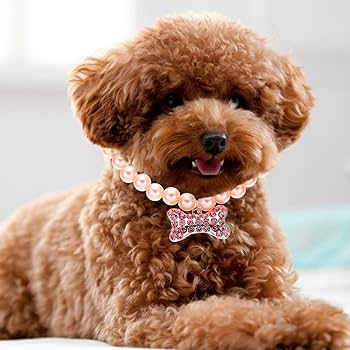 Cute Collars For Dogs