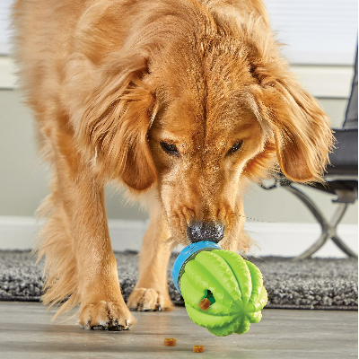 Dogs Treat Dispenser