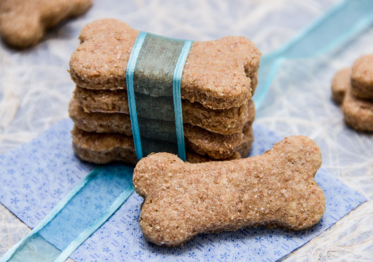 Healthy Dog Treat