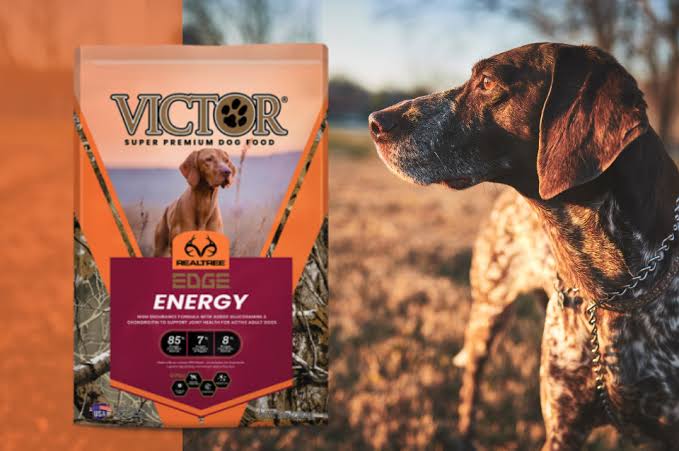 Victor Dog Food