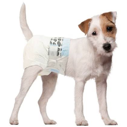 Disposable Dog Diapers